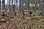 Bildungsprogramm Wald
