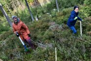 Zwei Frauen mit Pflanzwerkzeugen im Wald